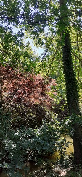 Fichier:Terrabotanica 2020 131225.jpg