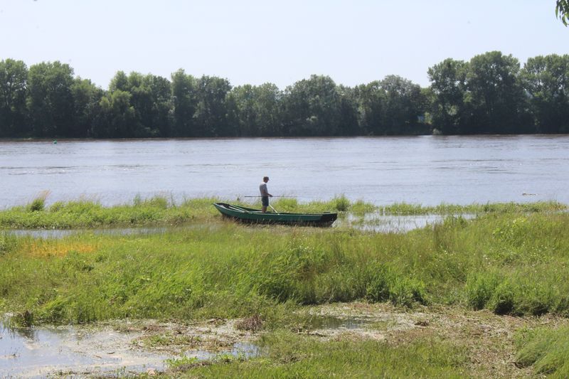 Fichier:La possonnière bords de loire 2021-9389.JPG