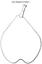 Illustration.