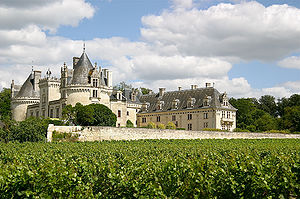 Le château de Brézé