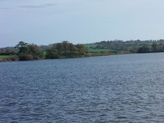 Cholet lac de ribou - 2015c.jpg