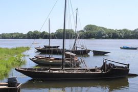 La possonnière bords de loire 2021-9406.JPG
