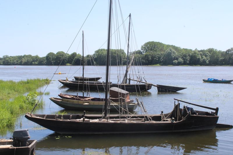 Fichier:La possonnière bords de loire 2021-9406.JPG