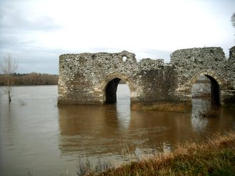 Photographie des ruines d'un moulin sur la Loire à Champtoceaux.