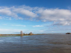 Loire ingrandes 2013-1.jpg