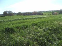 Ste christine 49-photo 45.jpg