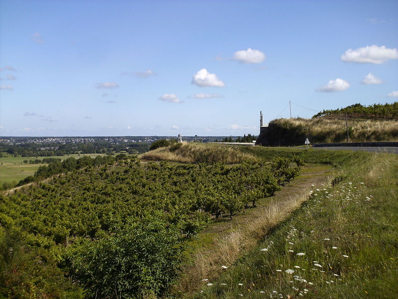 Fichier:Cornicheangevine-2008a.jpg