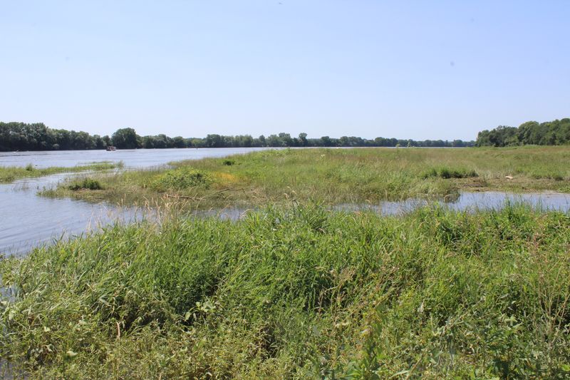 Fichier:La possonnière bords de loire 2021-9405.JPG