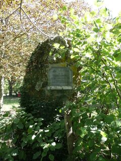 Photographie du menhir de la Pierre de Lenay.