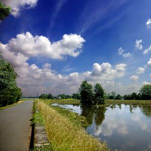 Photographie d'un paysage aux Ponts-de-Cé.