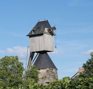 Photographie du moulin-cavier de la Garde (Avrillé).