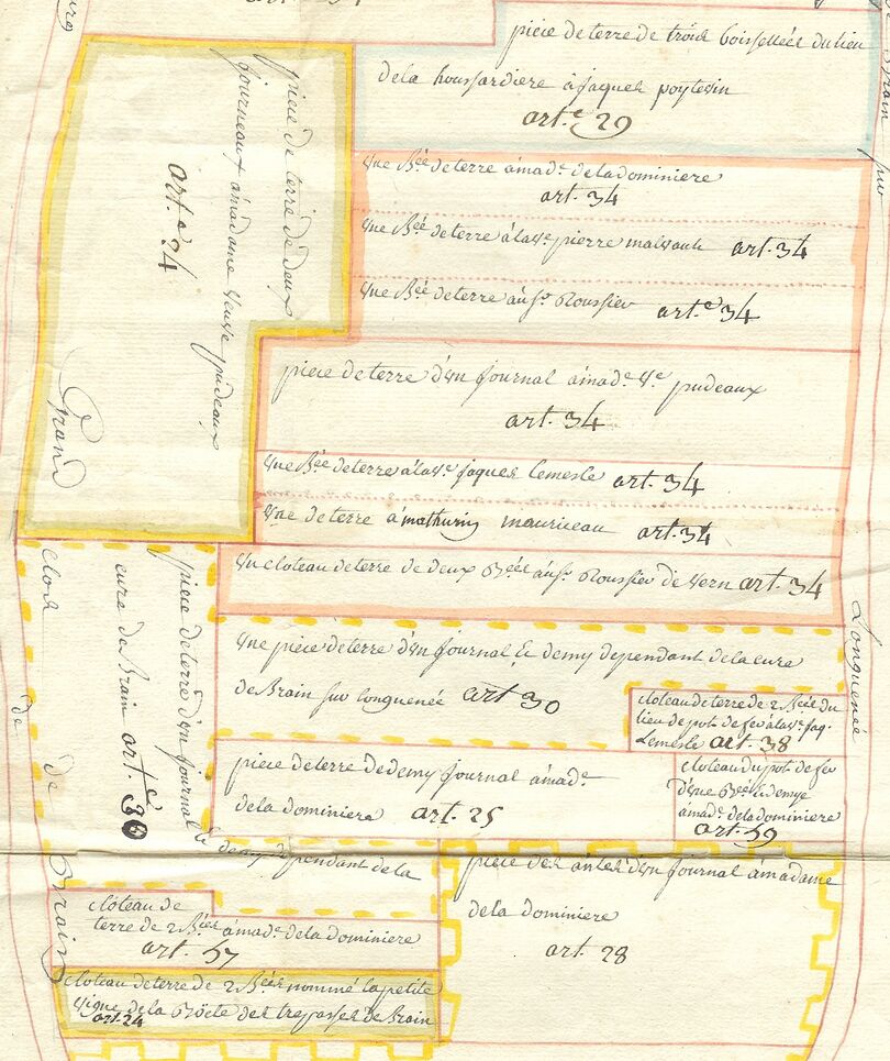 Extrait du plan terrier de Brain-sur-Longuenée en 1750.