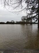 Bouchemaine 20260216 06.jpg