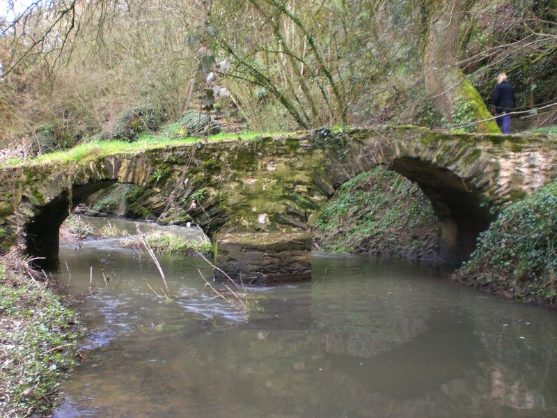 Fichier:Geste sangueze pont 2011a.jpg
