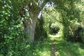 Rochefort sur loire 2021-9417.JPG