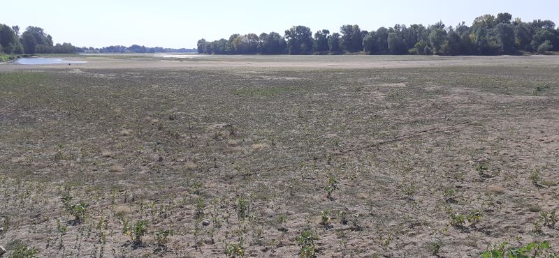Fichier:Loire montjean 2022 5316.jpg