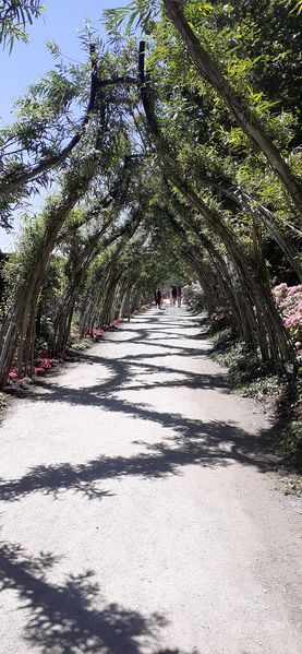 Fichier:Terrabotanica 2020 131715.jpg
