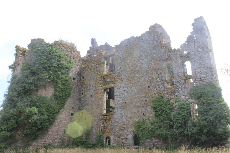 Fichier:Le longeron château de la Gimonière-2021-9352.JPG