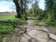 Ste christine 49-photo 40.jpg