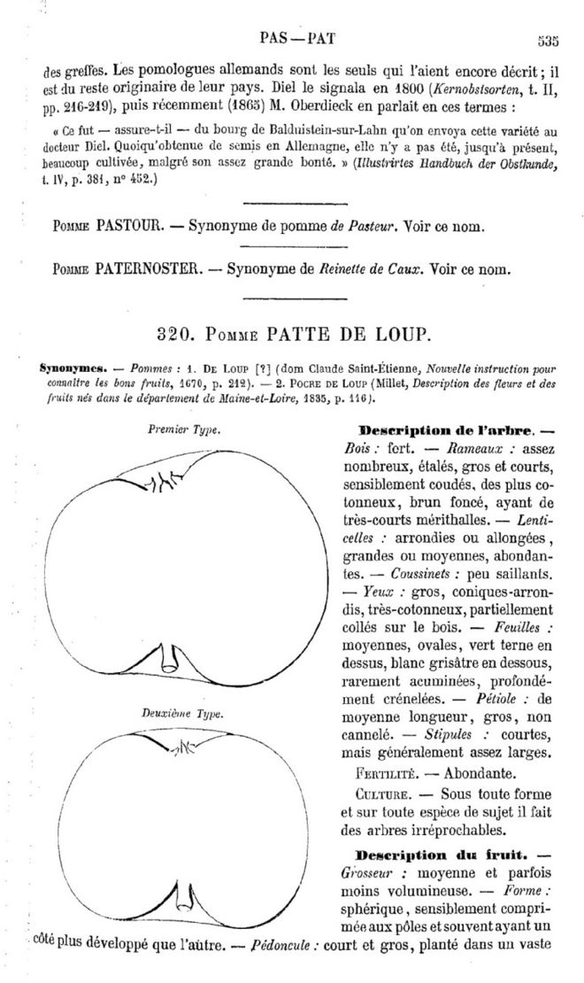 Page 535 du quatrième tome du Dictionnaire de pomologie.