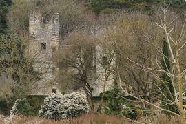 Fontaineguerin chateau tourdupin 2021a.jpg