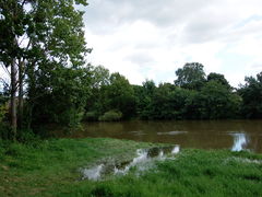 Rochefortsurloire louet -2014b.jpg