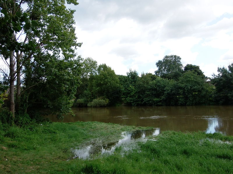 Fichier:Rochefortsurloire louet -2014b.jpg