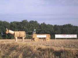 Photographie du comice agricole.