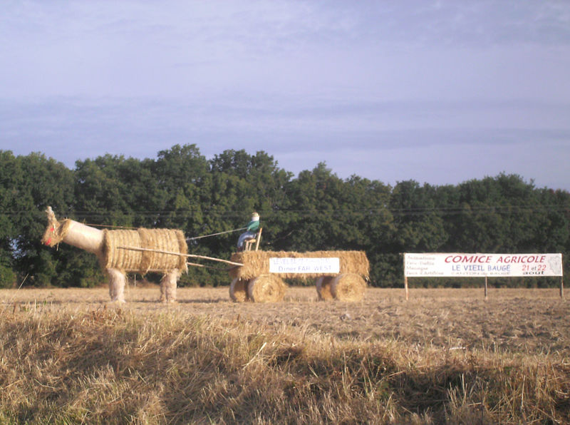 Fichier:Vieilbauge comice agricole 2010a.jpg