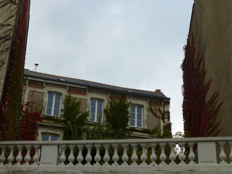 Fichier:Angers, Couleurs d'automne - 2.JPG