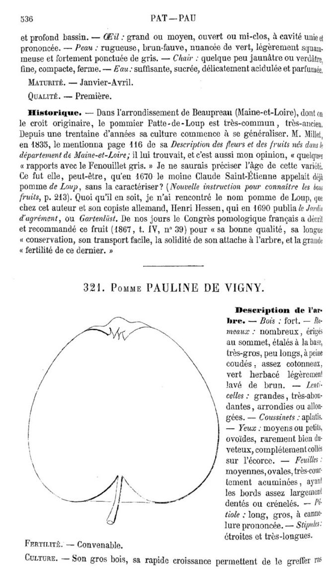 Page 536 du quatrième tome du Dictionnaire de pomologie.