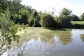 Layon saintaubindeluigne - 2017 2373.jpg