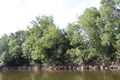 Loire chalonnes montjean 2024-0670b.JPG