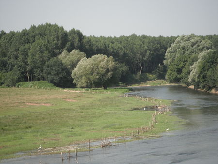 La Sarthe entre Cheffes et Tiercé