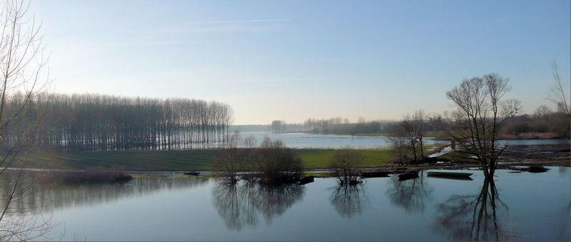 Fichier:Briollay loir en crue - 2008a.jpg