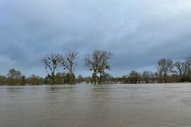 Chalonnes 20260219 05.jpg