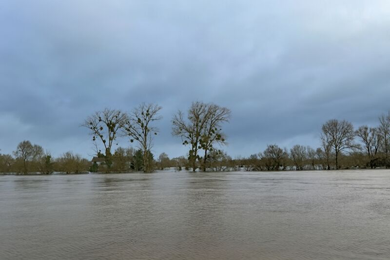 Fichier:Chalonnes 20260219 05.jpg