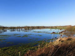 La vallée