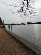 Bouchemaine 20260216 07.jpg