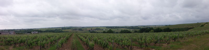 Panorama de Maine-et-Loire.