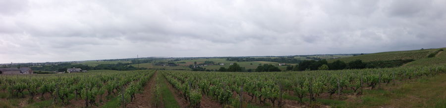 Photographie d'un panorama