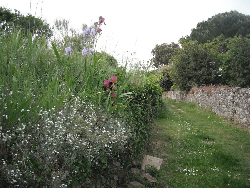 Fichier:Thoureil chemin 2013.jpg