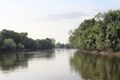 Loire chalonnes montjean 2024-0679.JPG