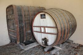 Saintlambertdulattay musee vigne 2024-0864.JPG