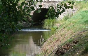 Photographie du Couesnon à Fontaine-Guérin.