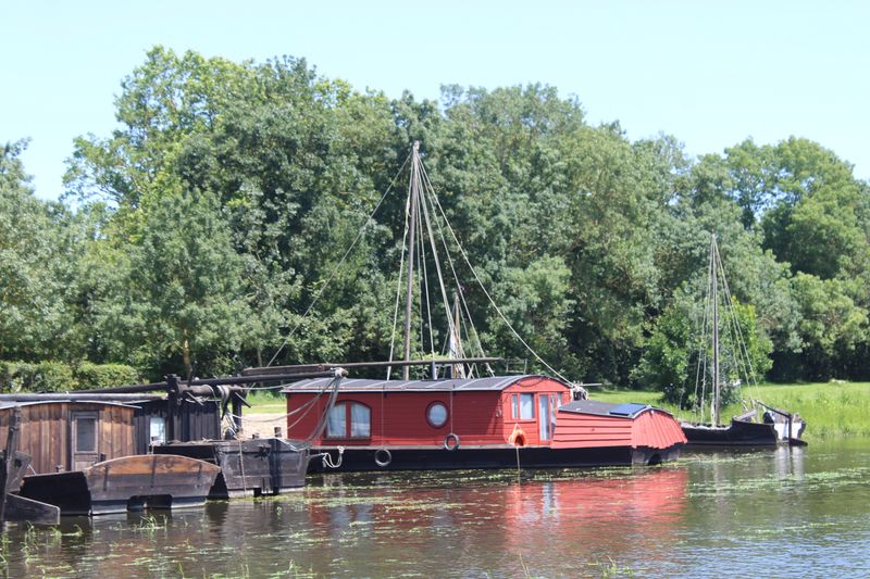 Fichier:La possonnière bords de loire 2021-9404.JPG