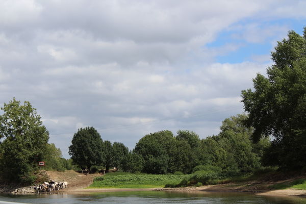 Photographie Montjean-sur-Loire.