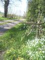 Ste christine 49-photo 22.jpg