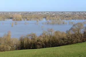 Photographie de la Loire à La Haie-Longue.