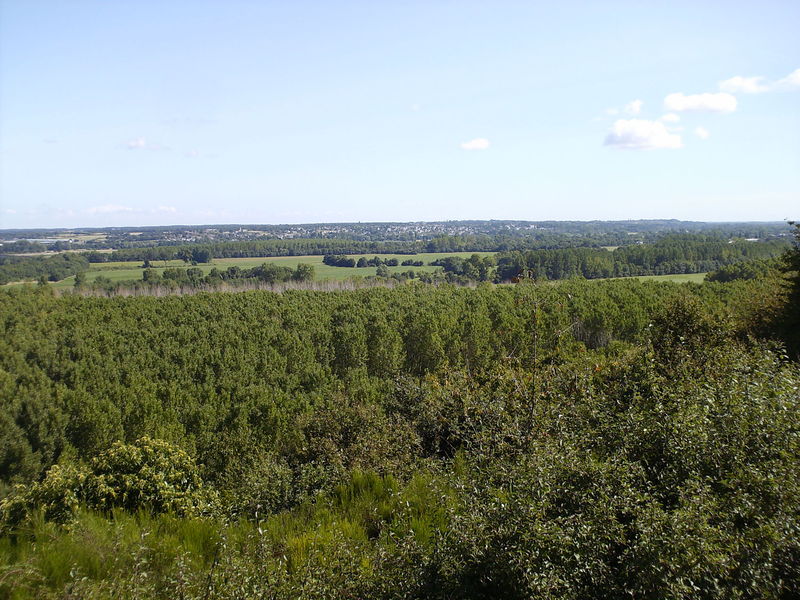 Fichier:Chaudfondssurlayon ardenay vallee loire-2008a.jpg